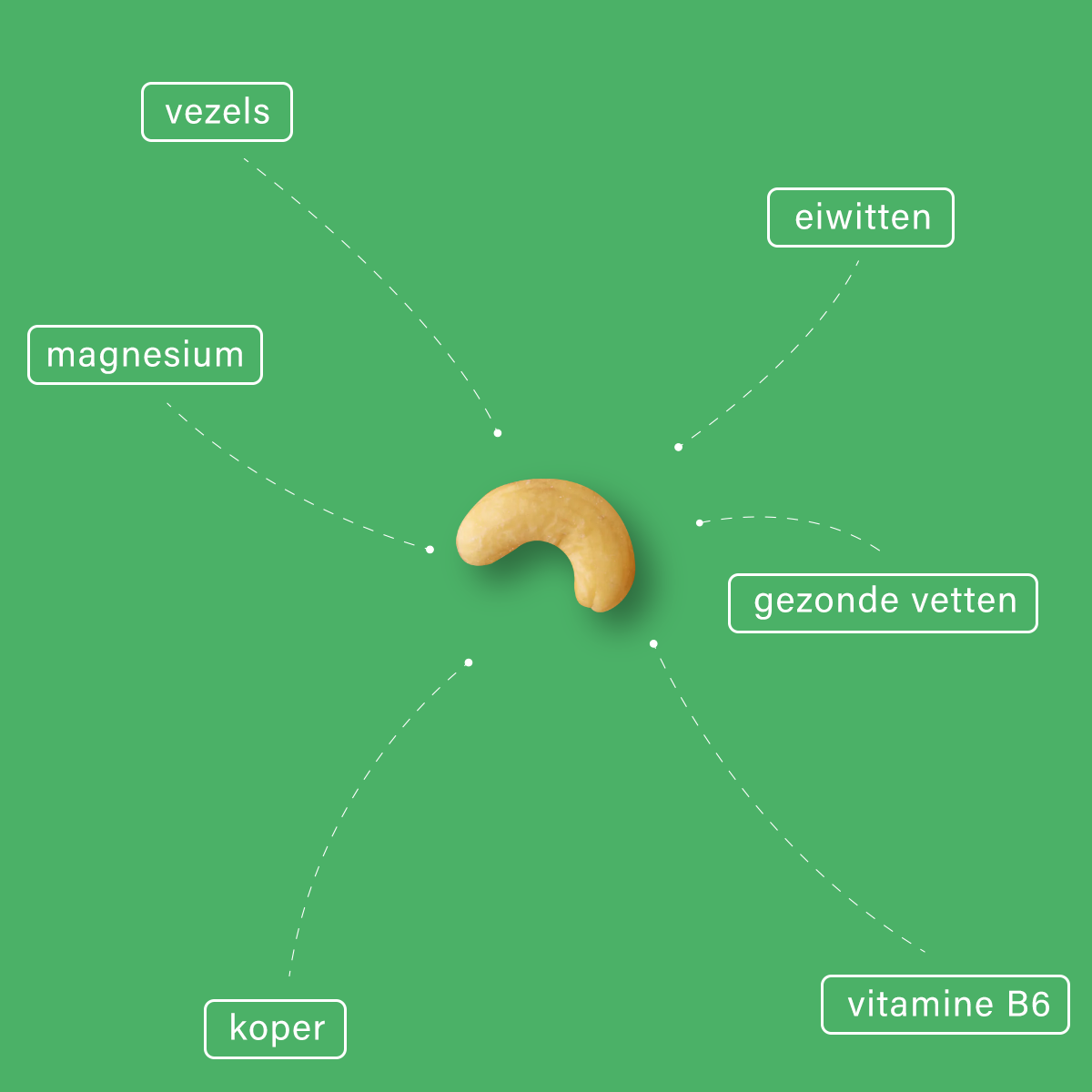 Cashewnoten - gezonde noten - All Day Nuts